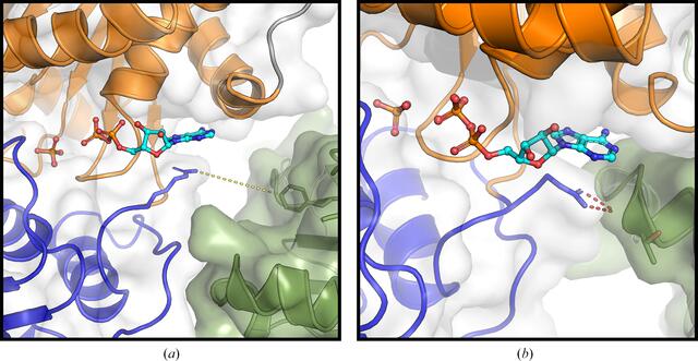 [Figure 4]