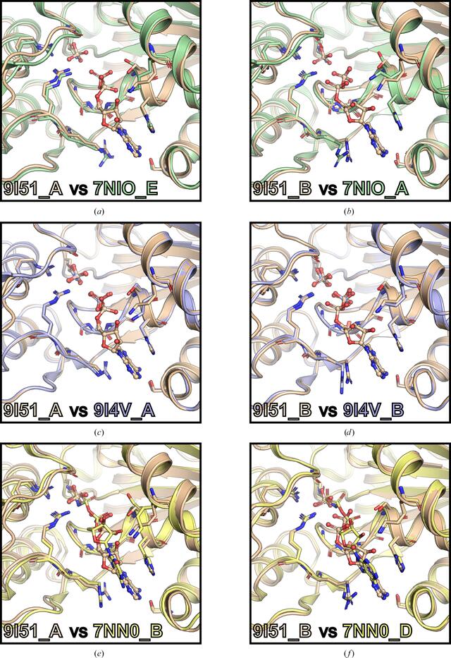 [Figure 5]