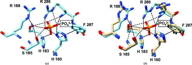 [Figure 2]