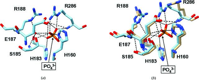 [Figure 5]
