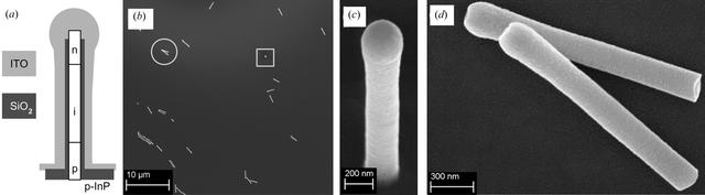 [Figure 2]