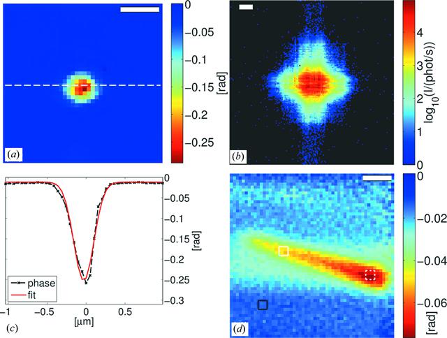 [Figure 5]