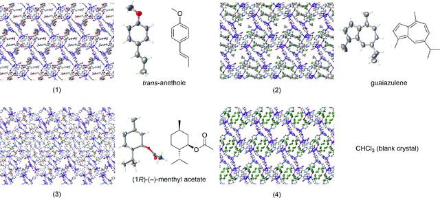 [Figure 1]