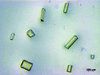 [Figure 2]