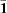 [{\bar {\bf 1}}]