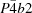 [P{\bar 4}b2]
