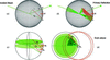 [Figure 1]
