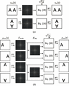 [Figure 1]