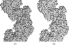 [Figure 6]