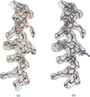[Figure 7]