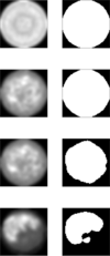 [Figure 8]