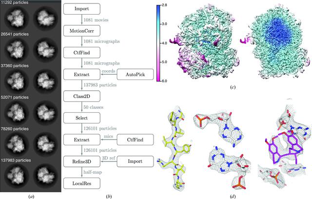 [Figure 2]