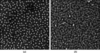 [Figure 1]