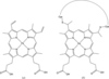 [Figure 3]