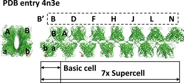 [Figure 4]