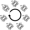[Figure 7]