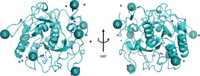 [Figure 6]