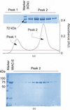 [Figure 2]
