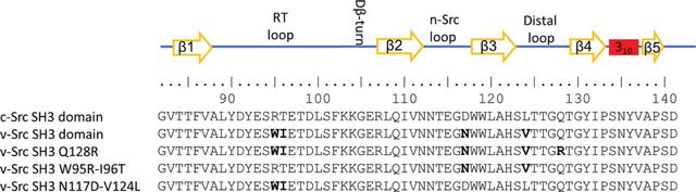 [Figure 1]