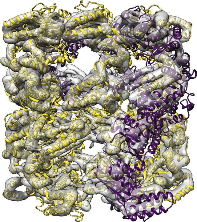 [Figure 6]