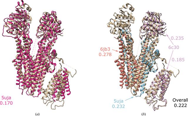 [Figure 7]