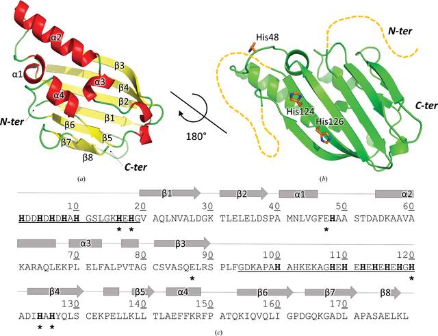 [Figure 2]