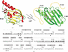 [Figure 2]