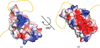 [Figure 4]