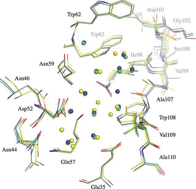[Figure 5]