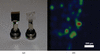 [Figure 1]