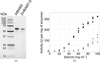 [Figure 4]
