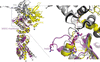 [Figure 4]