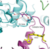 [Figure 6]