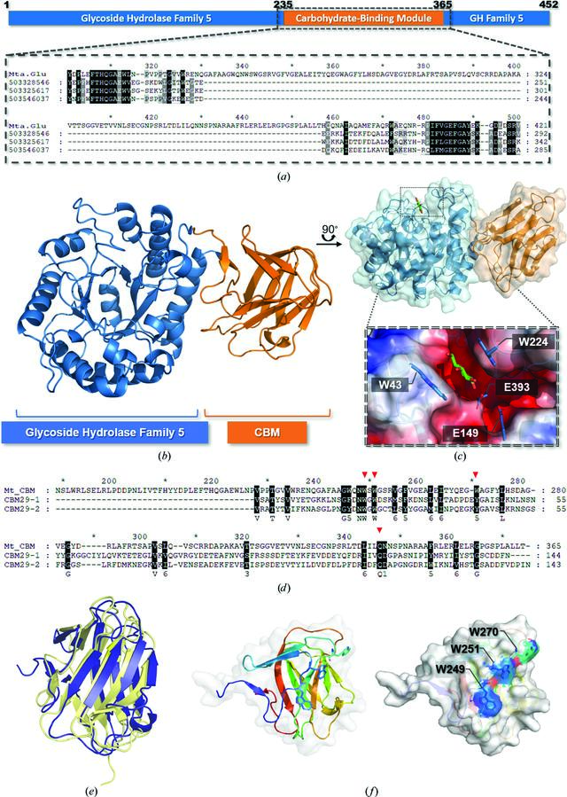 [Figure 1]
