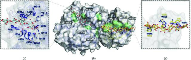 [Figure 4]