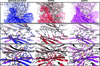 [Figure 4]