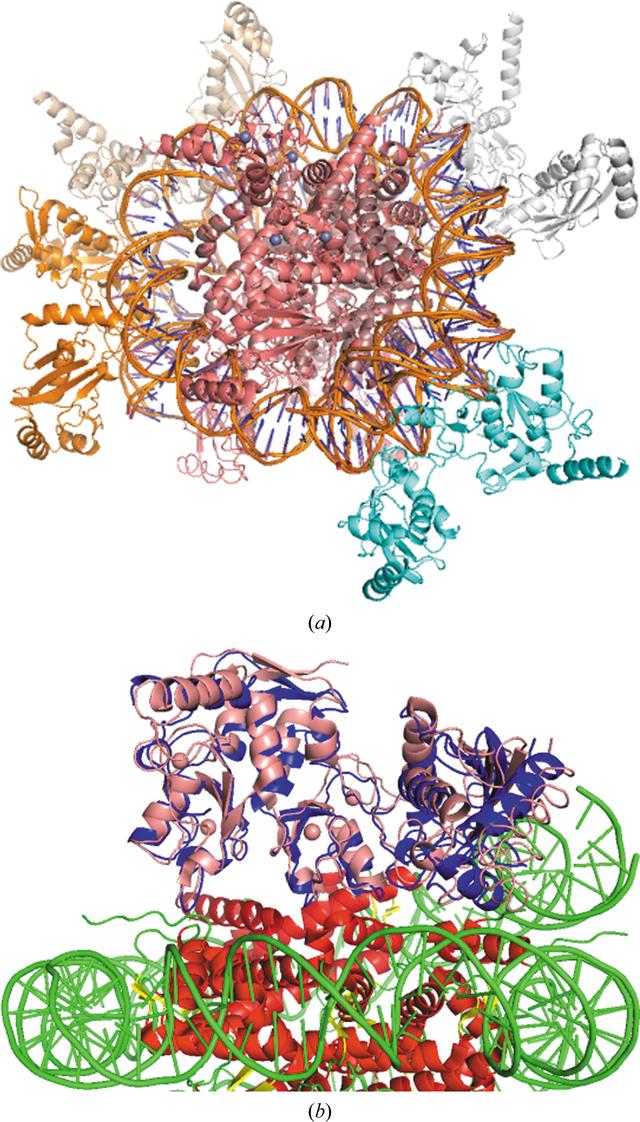 [Figure 3]