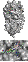 [Figure 4]