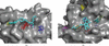 [Figure 5]