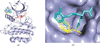 [Figure 6]