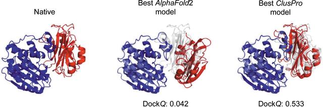 [Figure 8]