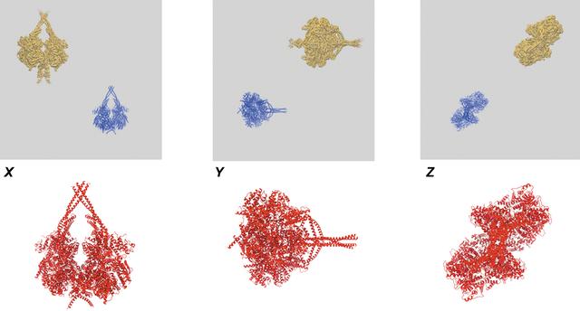 [Figure 4]