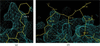 [Figure 7]