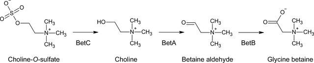 [Figure 1]