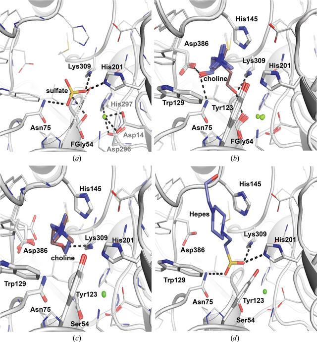 [Figure 4]