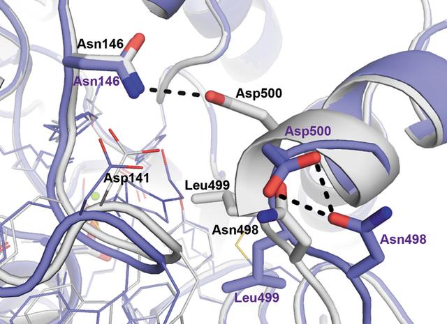 [Figure 6]