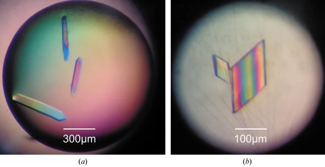 [Figure 1]