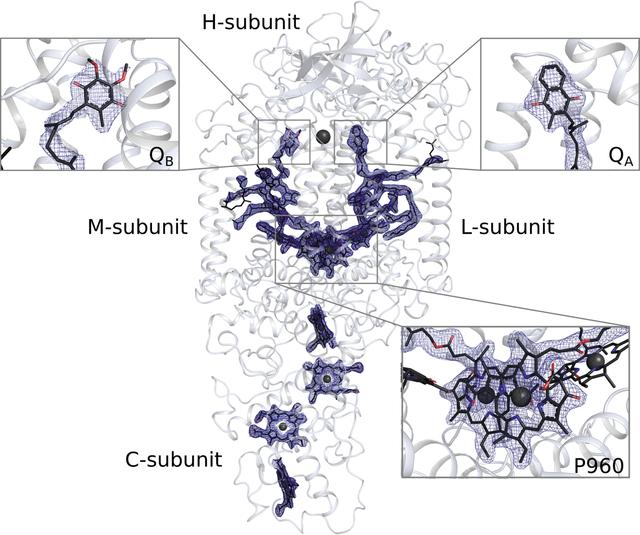 [Figure 2]