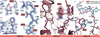 [Figure 5]