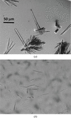 [Figure 1]